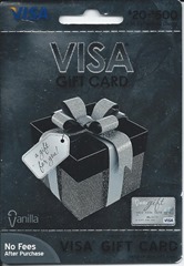 visa gift card pins