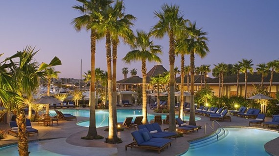 a pool with palm trees and lounge chairs