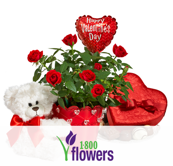 a plant with red roses and a teddy bear