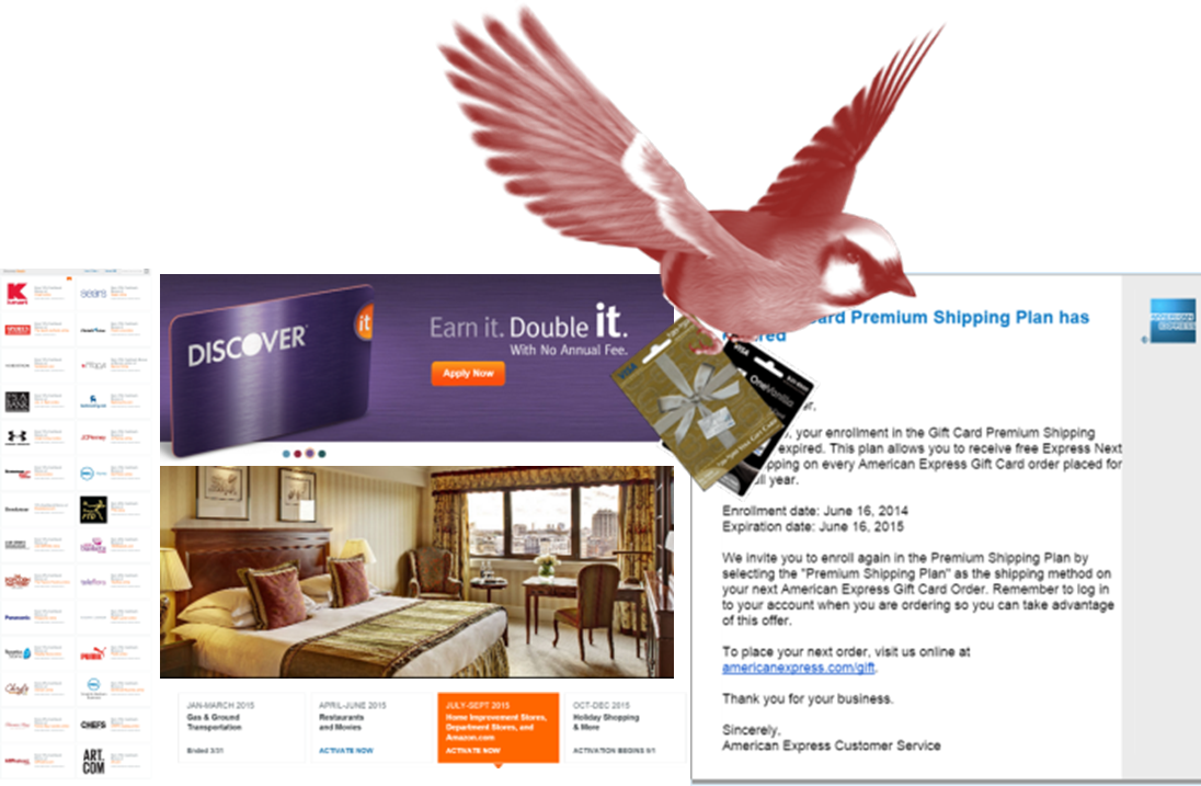 a bird flying over a hotel room