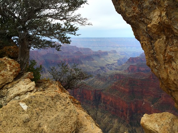 National Park Tour: Grand Canyon North Rim Bright Angel Point