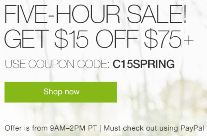 Ebay 5 hour sale