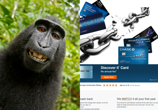 a monkey and credit cards