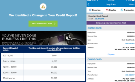 screens screenshot of a credit report