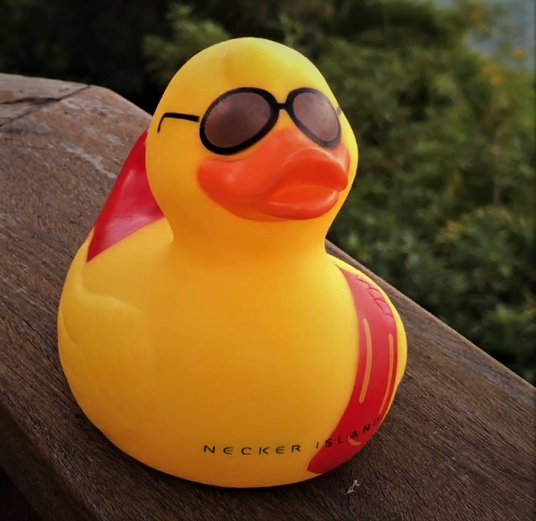 Virgin Limited Edition Duck Necker Island