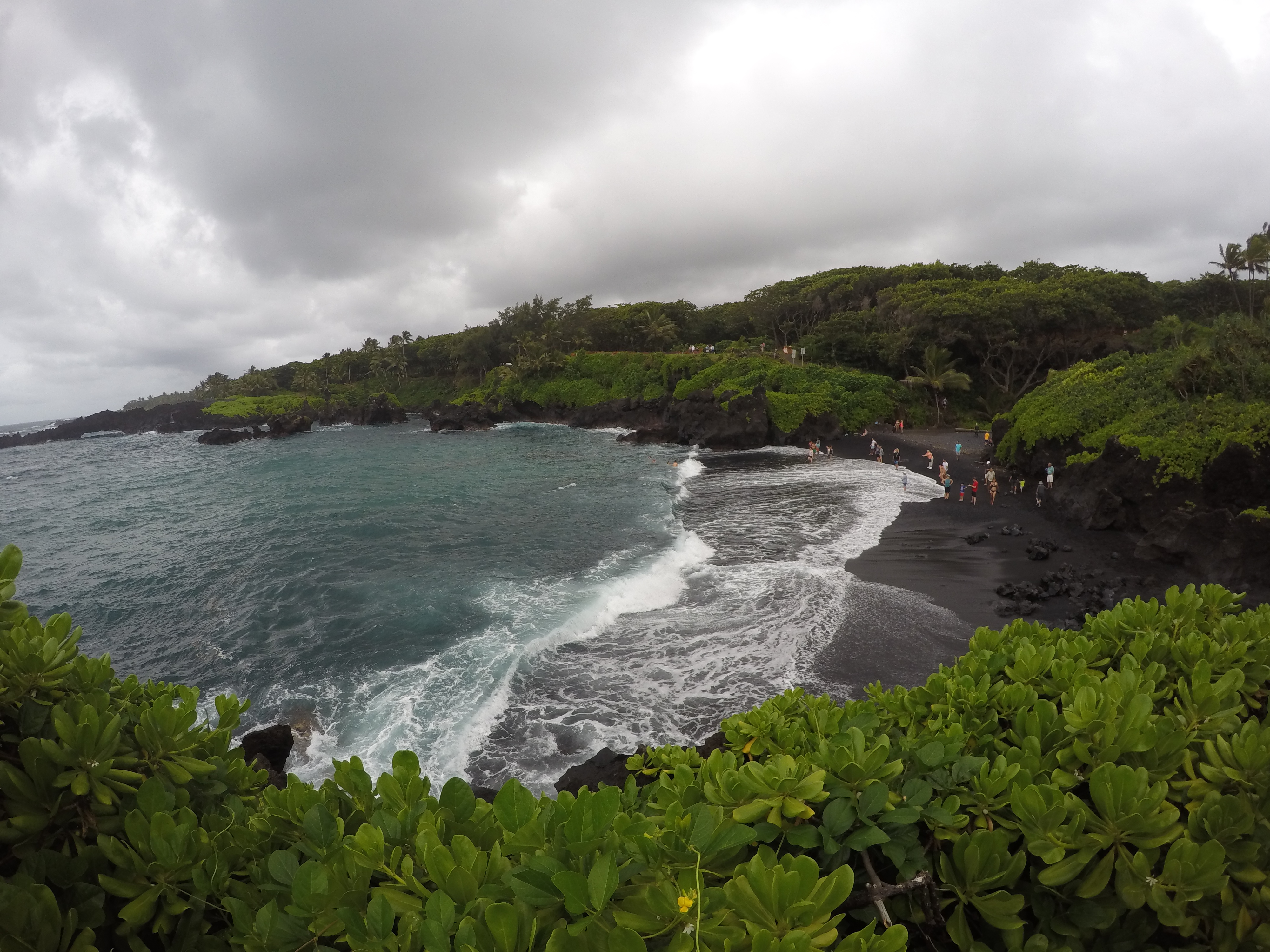 a beach with black sand and water and trees
