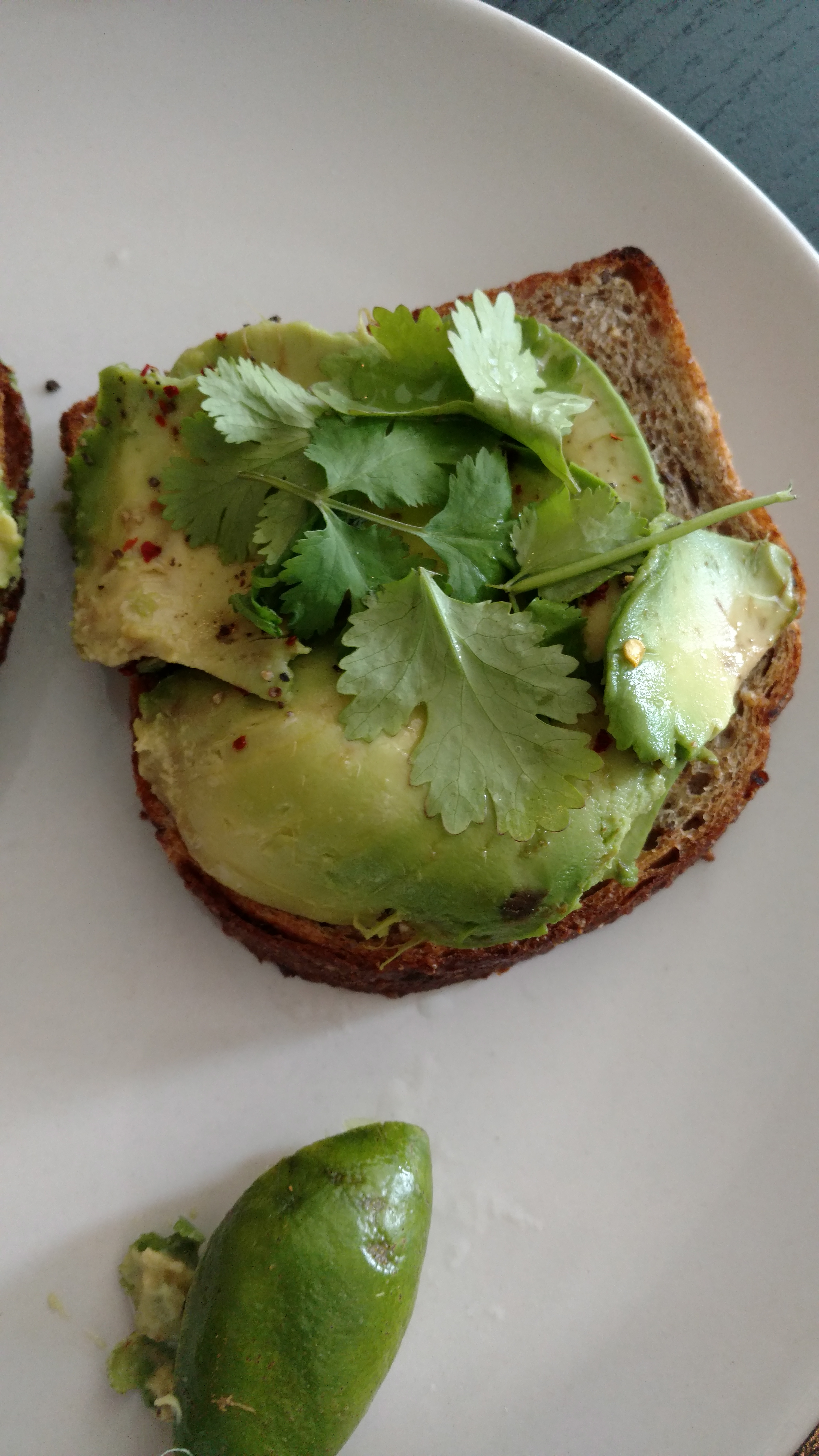 a piece of bread with avocado and cilantro on top