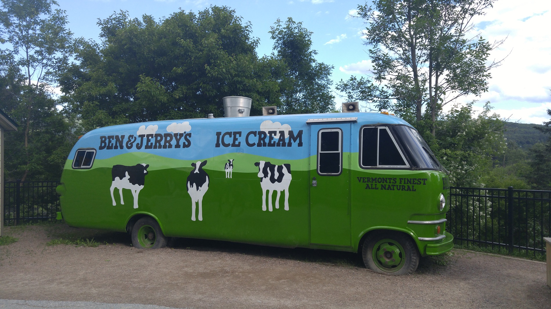 a green and blue truck with cows on it