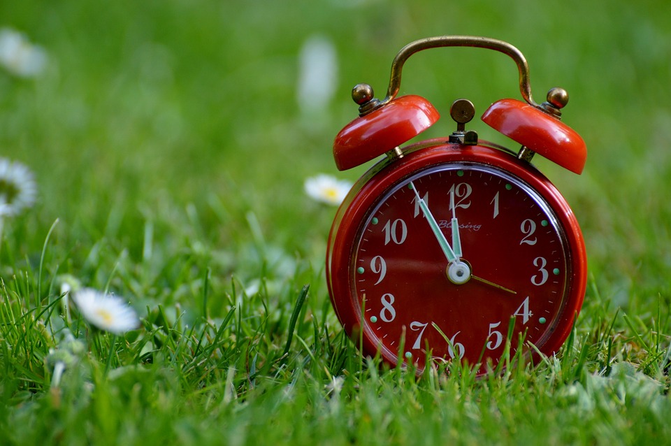 a red alarm clock in the grass