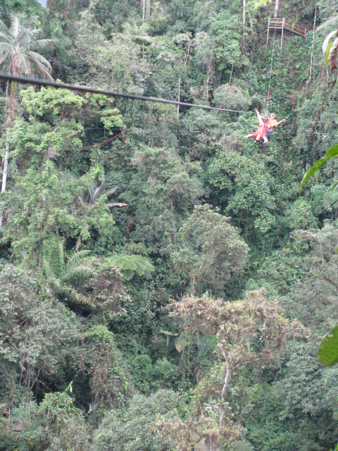 people on a zip line in the middle of a forest