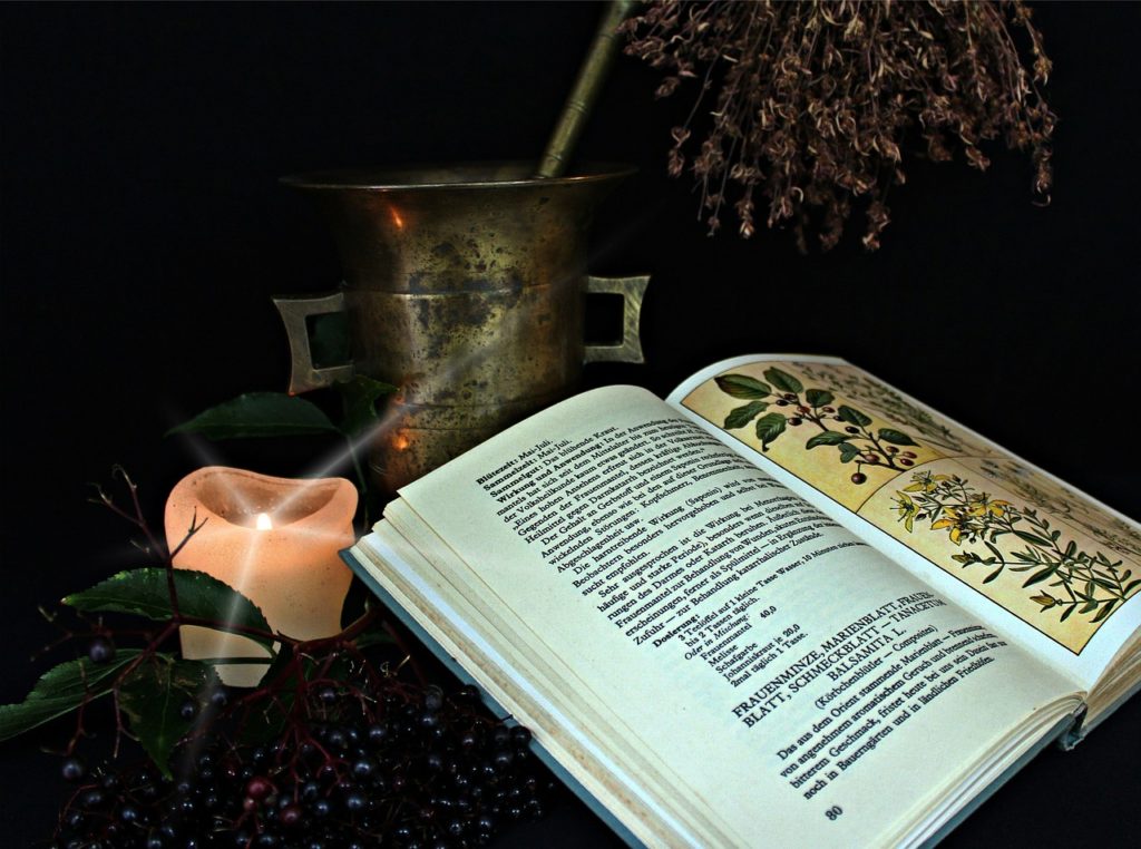 a book open with a candle and a plant
