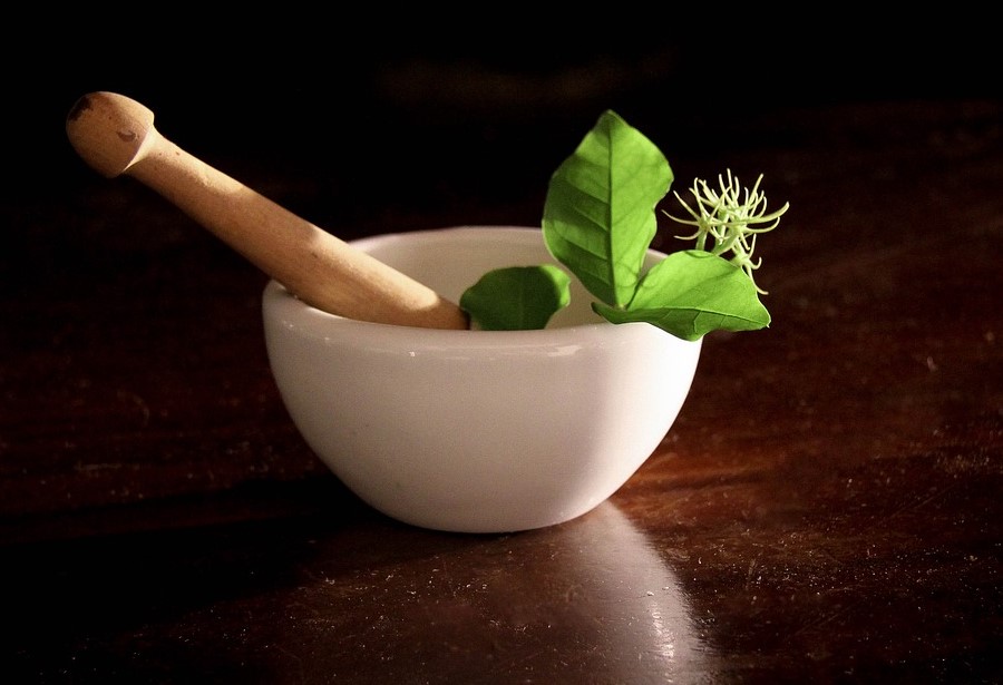 a mortar and pestle with a green plant