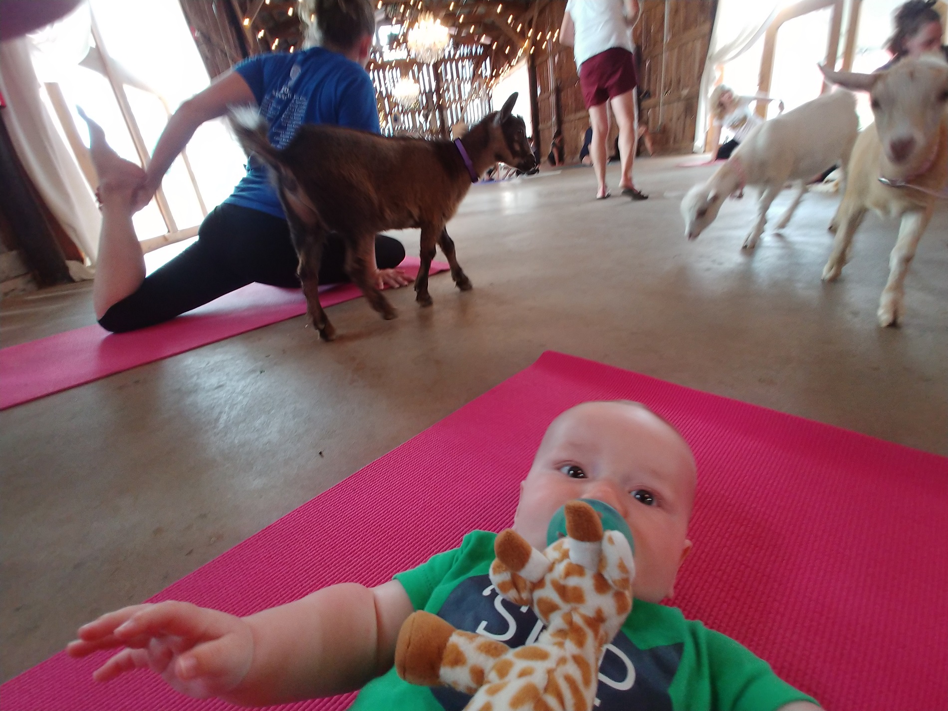a baby lying on a mat with goats around it