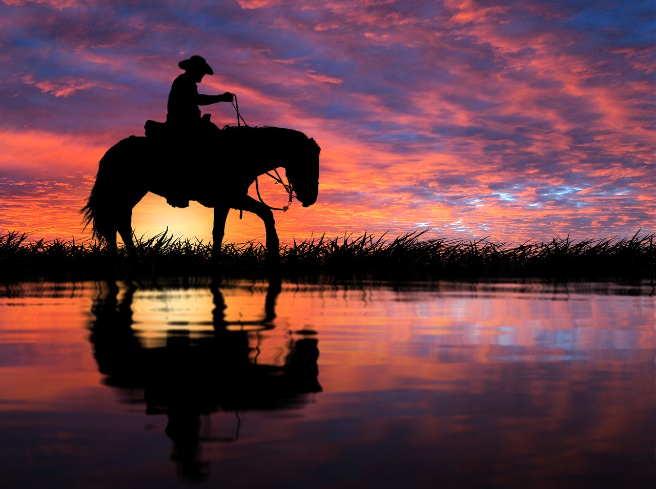a silhouette of a man riding a horse in a body of water