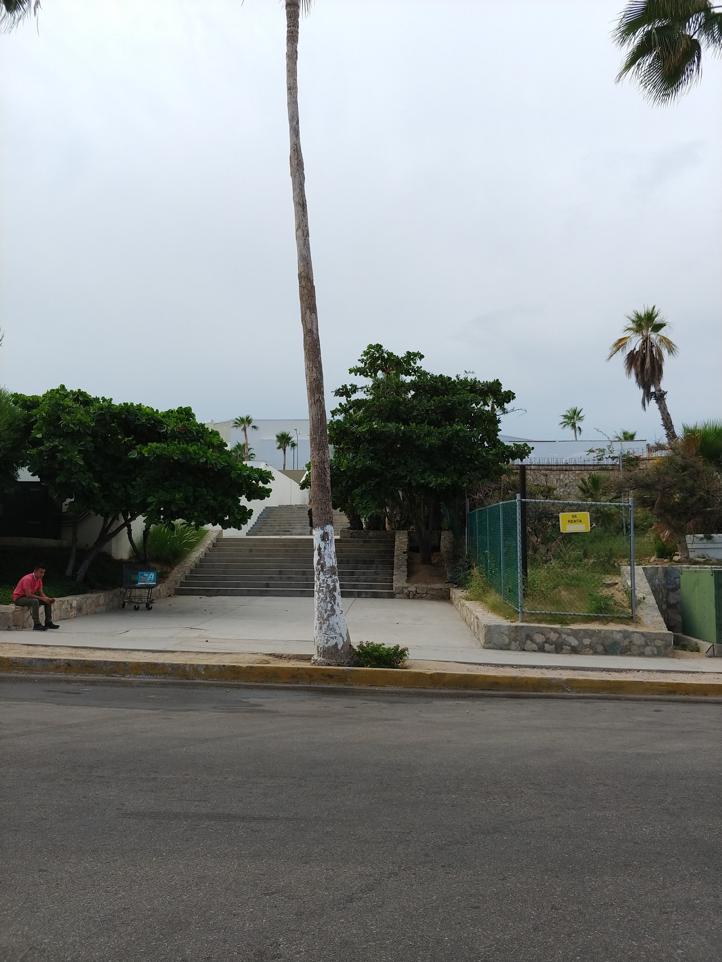 a person sitting on a bench next to a concrete staircase