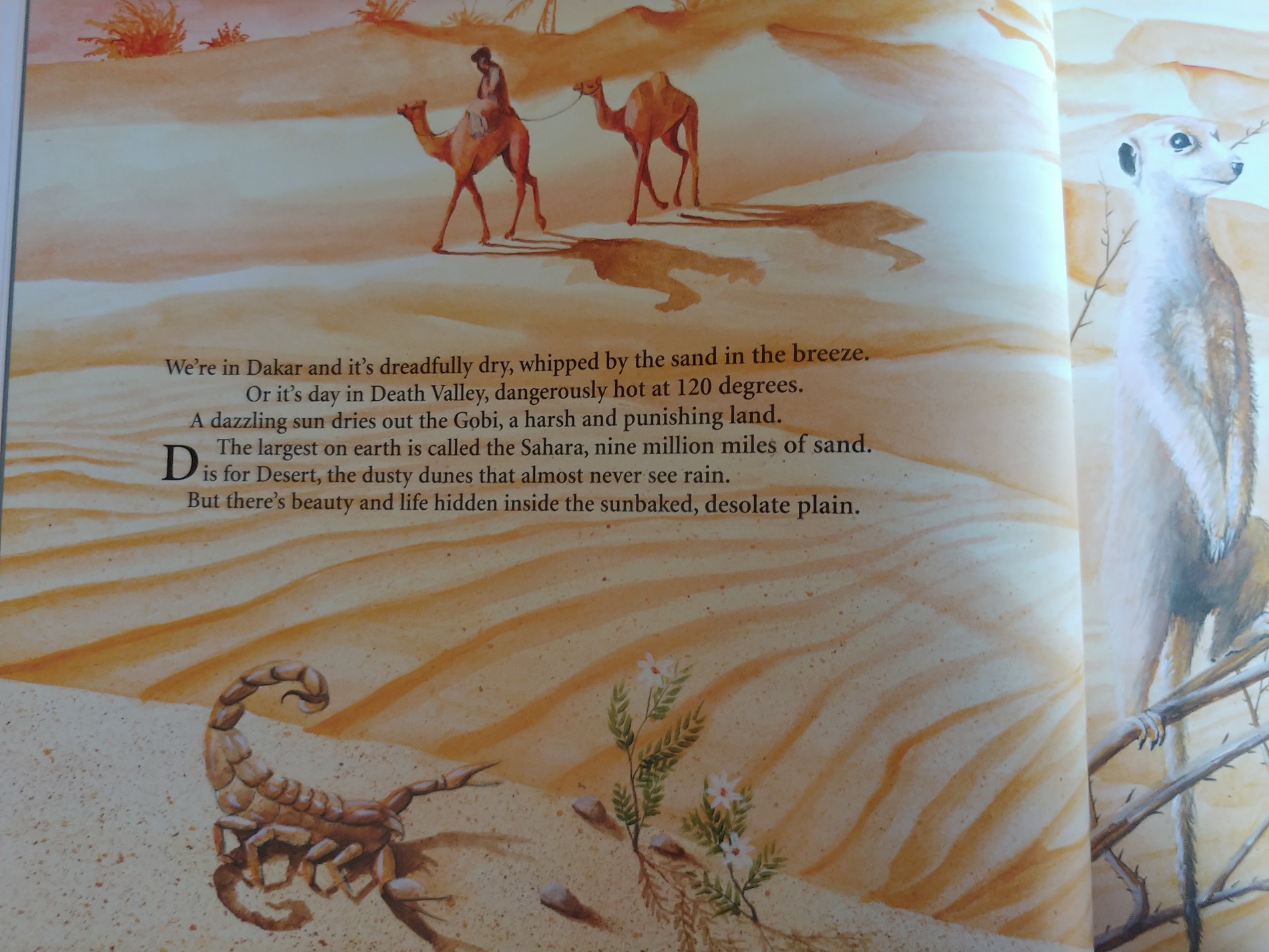 a book with a picture of a man and camels