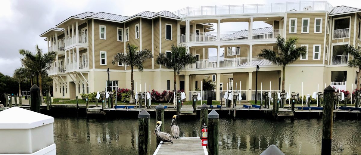 a group of birds on a dock in front of a building