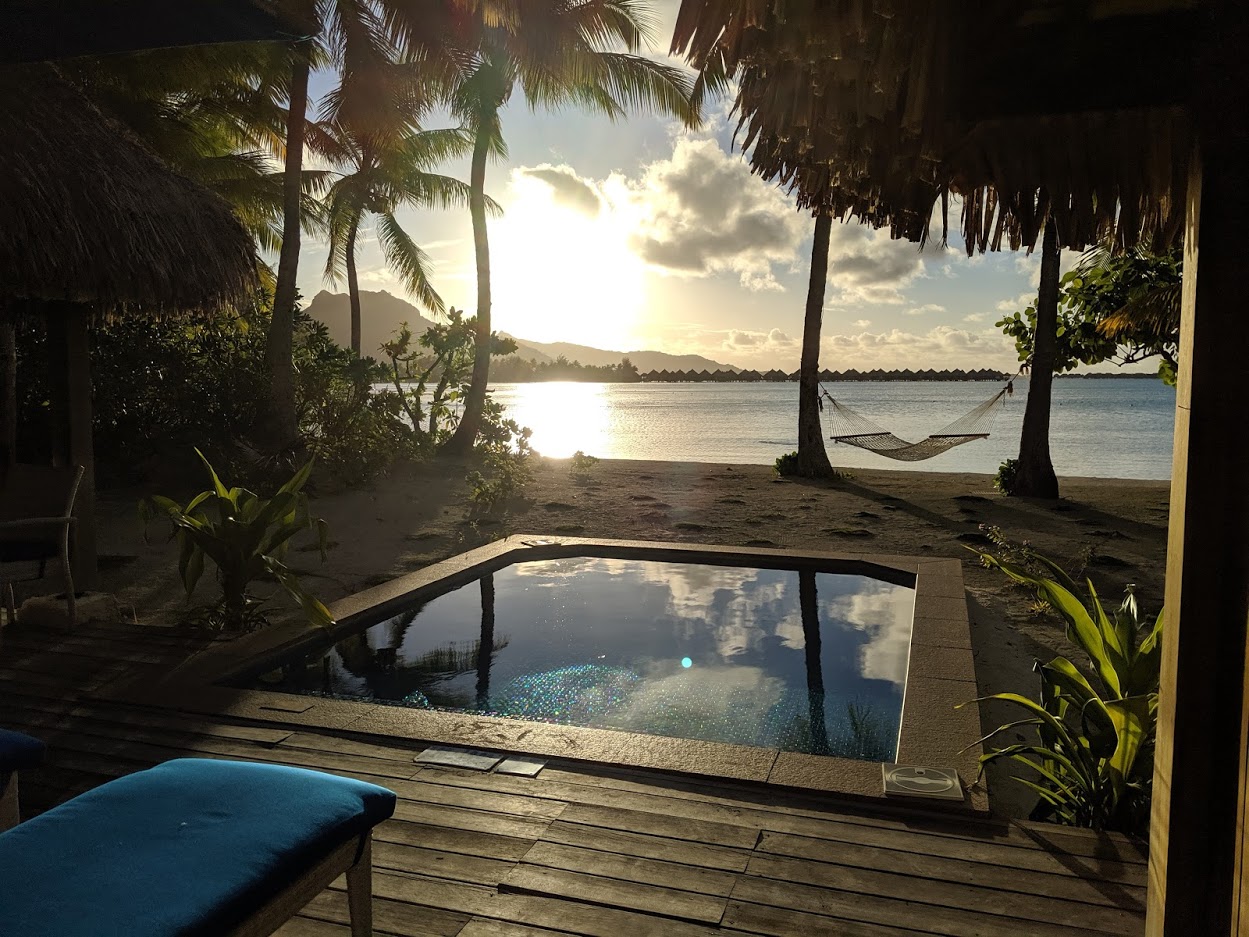 a pool on a beach with palm trees and a hammock