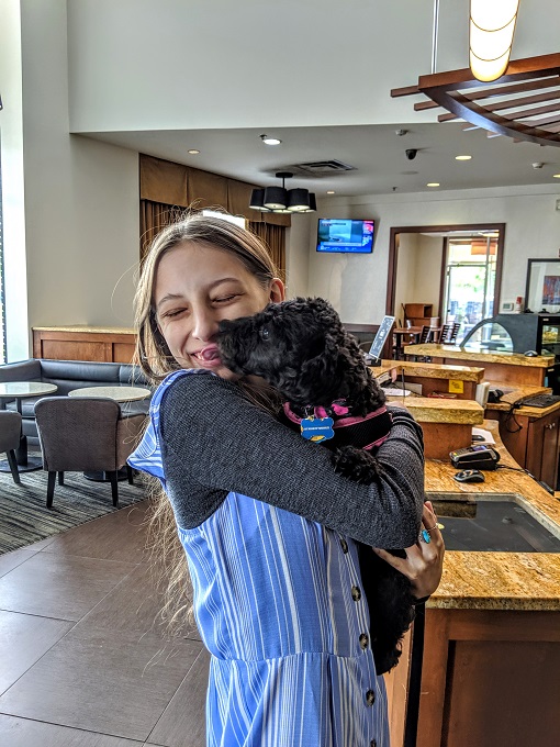 Truffles loves the attention she get from front desk staff at Hyatt Places