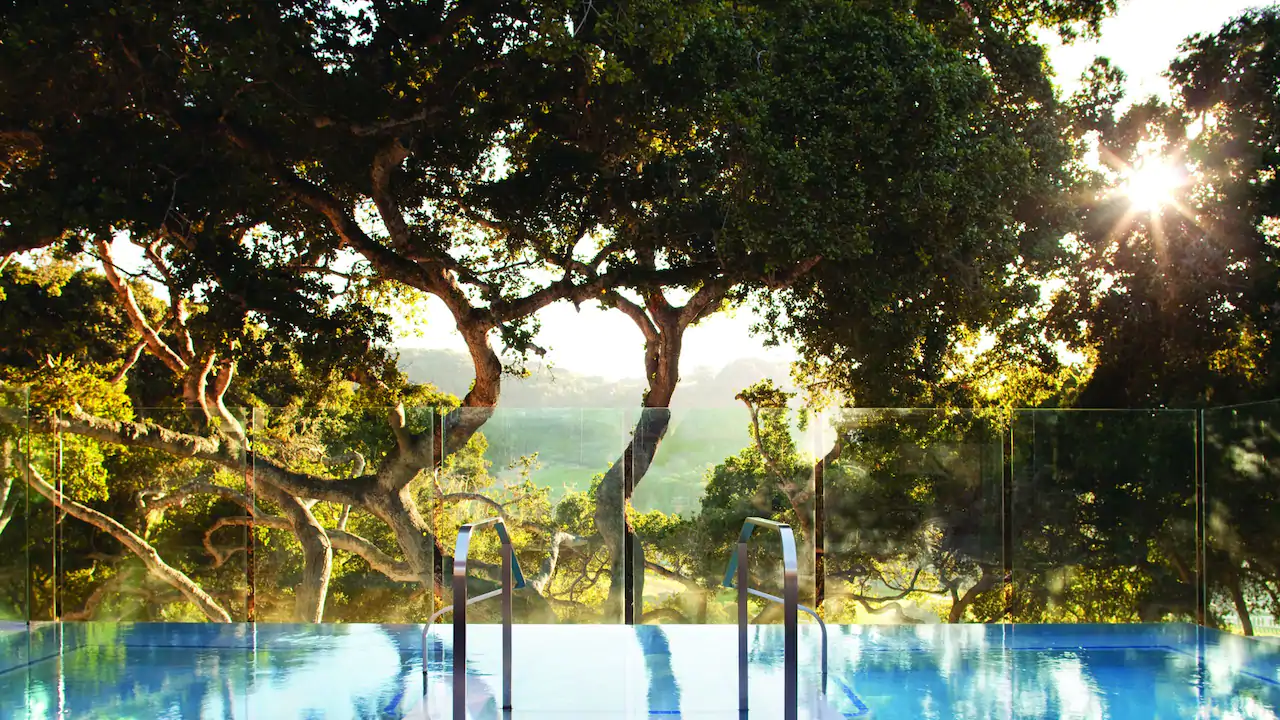 a pool with a glass railing and trees