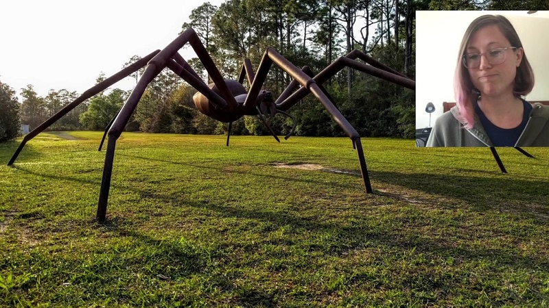 a large spider statue in a grassy field