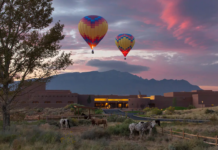 a group of hot air balloons in the sky