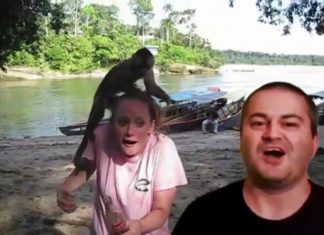 a man and woman with a monkey on their head