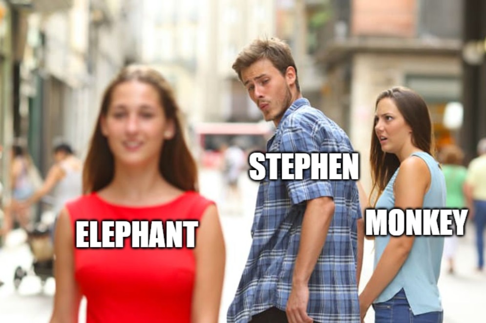 Stephen Elephant Monkey