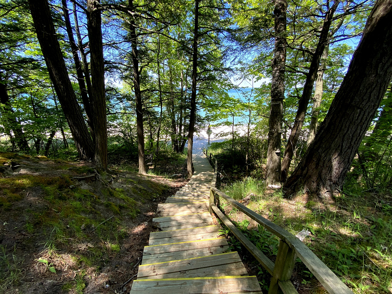 a wooden walkway in the woods
