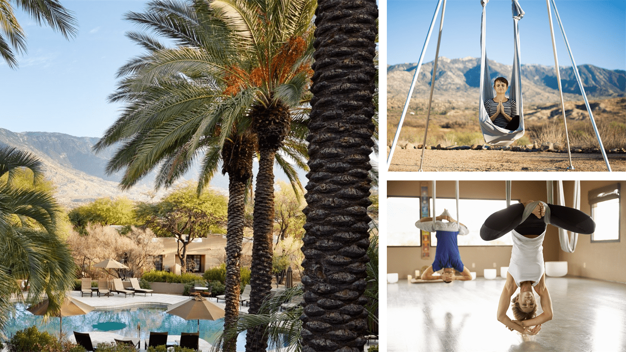 a collage of palm trees and a man in a hammock