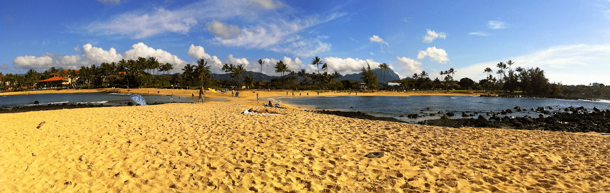 a sandy beach with people on it