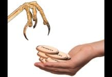 a hand holding coins with claws and a bird's paw
