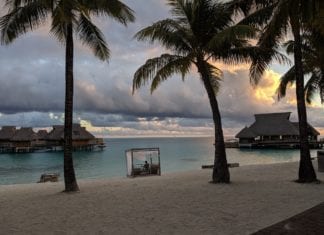 a beach with palm trees and a hut on the water