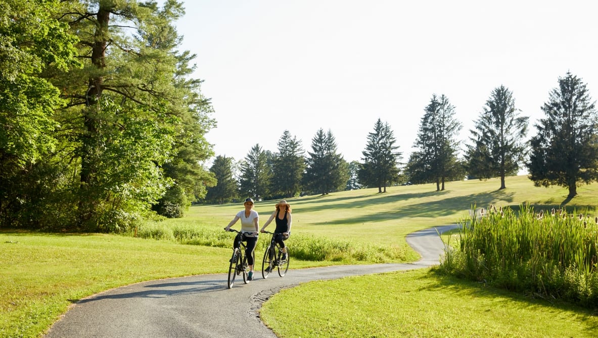 two people riding bicycles on a path