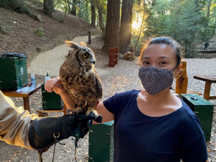 a woman wearing a mask and holding an owl