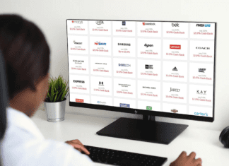 a person looking at a computer screen