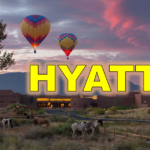 a group of horses in a field with hot air balloons