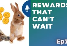 a rabbit standing next to a microphone