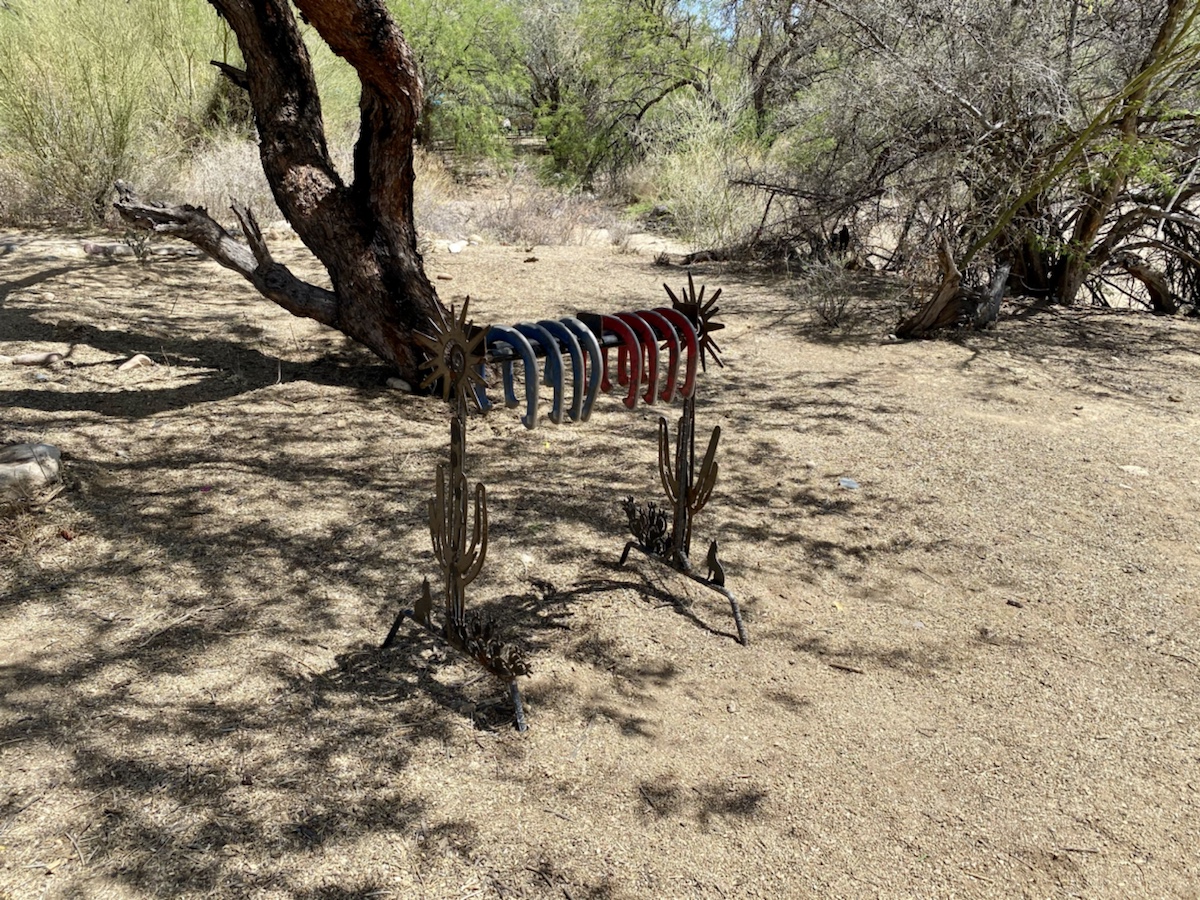 a metal rack with cactuses in the dirt