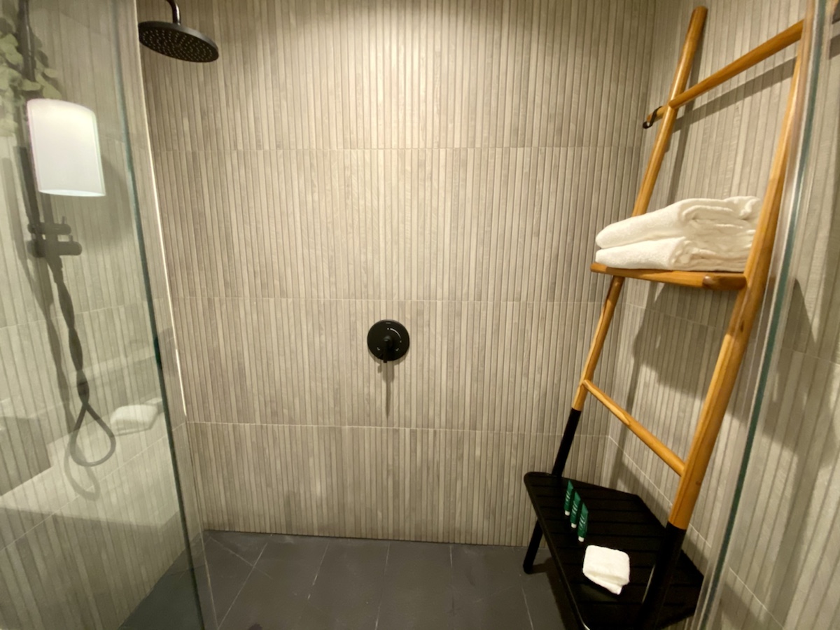 a shower with a ladder and towels