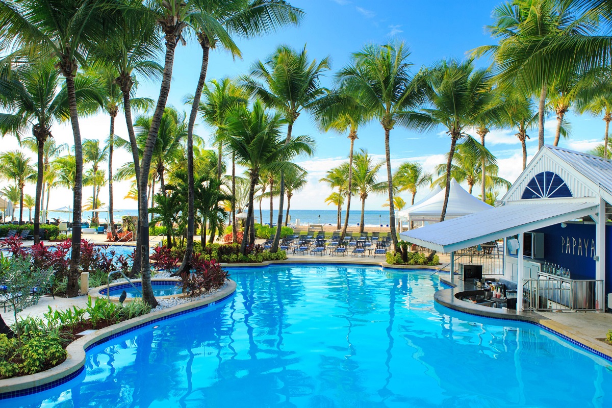 a swimming pool with palm trees and a beach