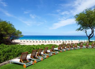 a row of chairs on a lawn