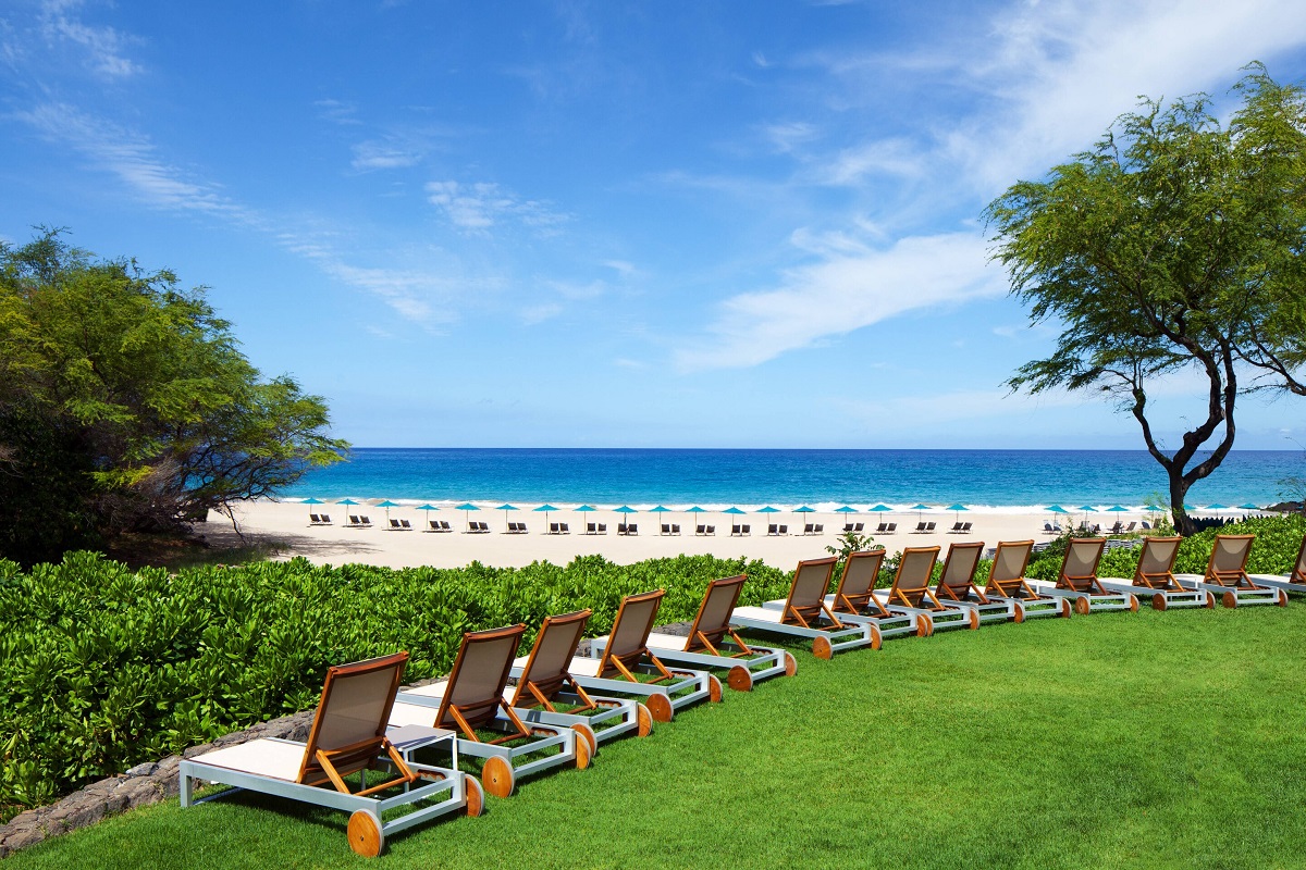 a row of chairs on a lawn