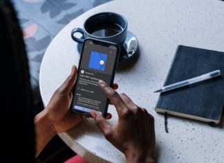 a person holding a phone