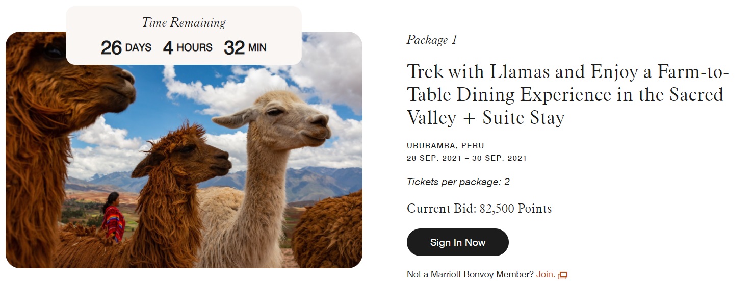 a llama with a picture of a mountain range