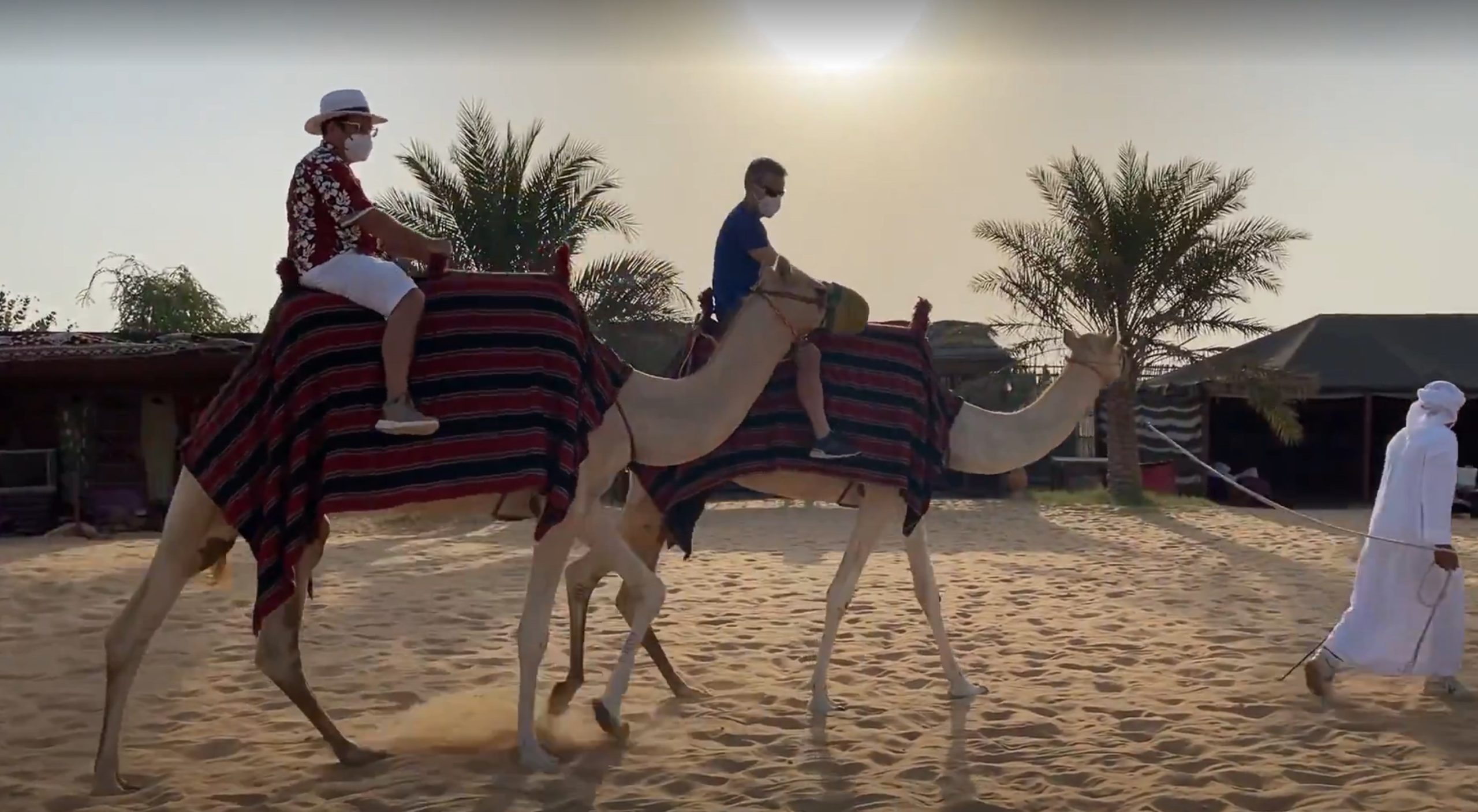 a man riding a camel on a beach