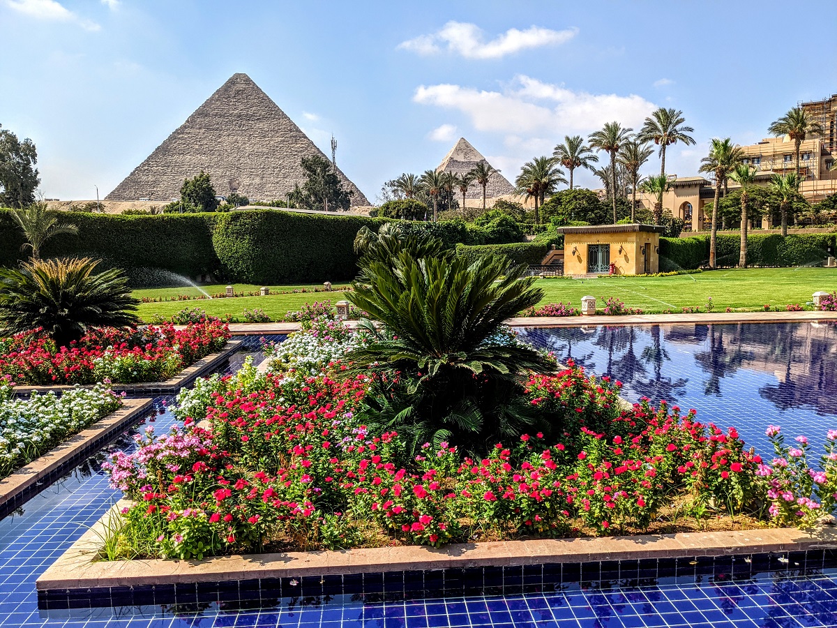 a pool with flowers and a pyramid in the background