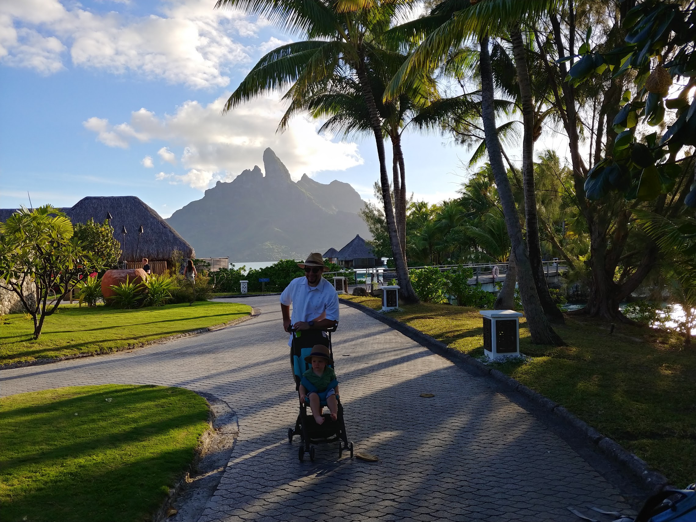 a man pushing a stroller on a path with palm trees and a mountain in the background