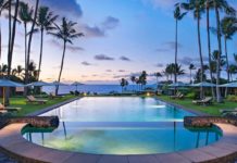 a pool with palm trees and umbrellas