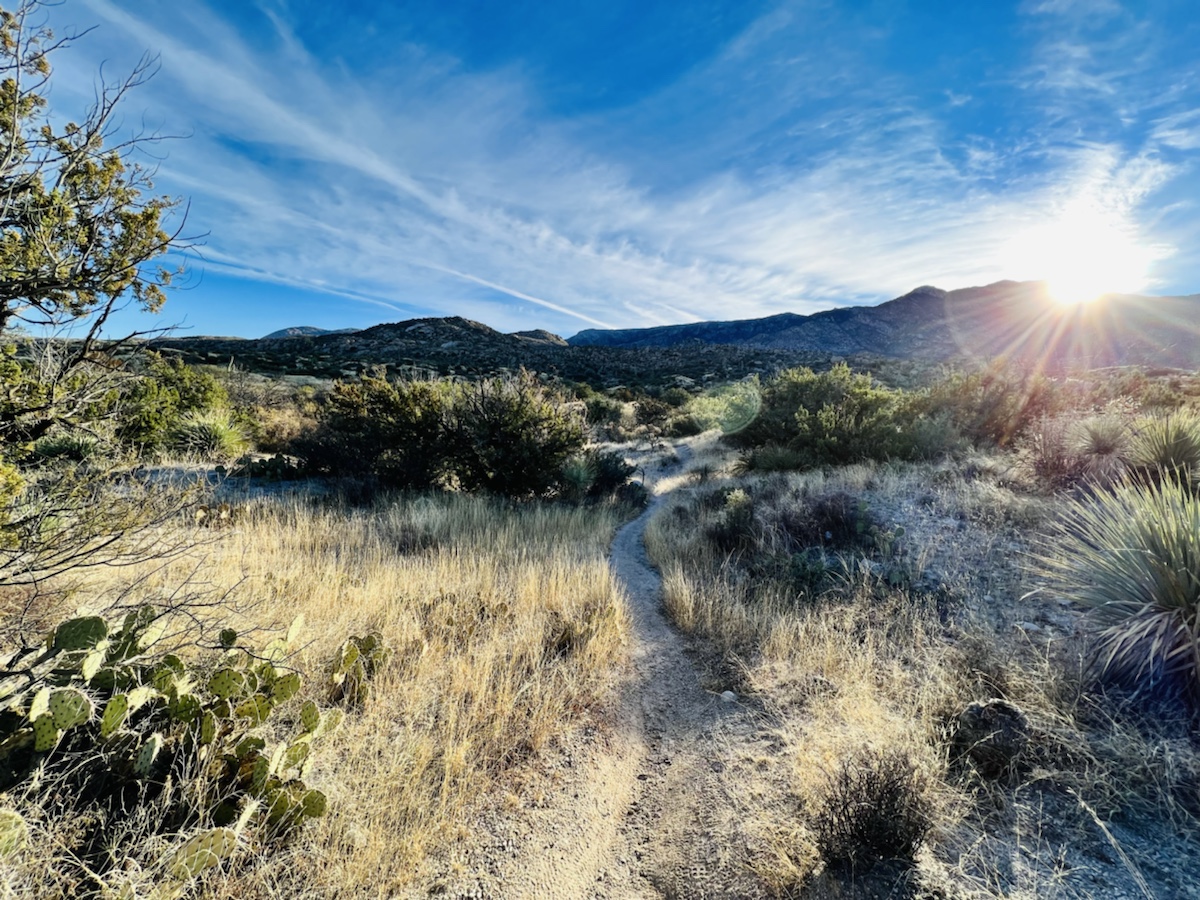 a dirt path through a desert landscape